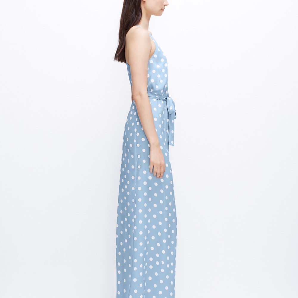 Ann Taylor Blue Polka Dot Maxi Dress